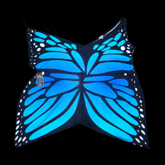 Tipsy elves butterfly costume